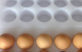 珍珠棉蛋托細(xì)節(jié)展示