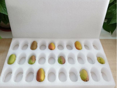 珍珠棉廣泛使用的原因是什么