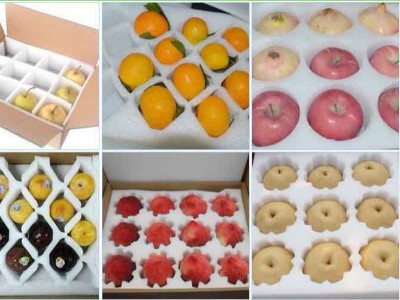 珍珠棉在水果包裝行業(yè)中能起到什么作用